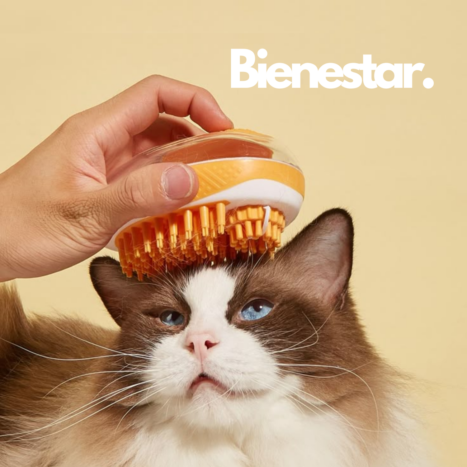 Bienestar